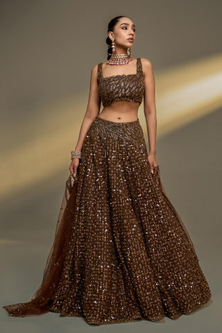Lehenga Set For Indian Wedding - Brown Afreen Net Lehenga Set by Prevasu