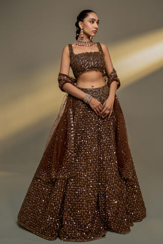 Lehenga Set For Indian Wedding - Brown Afreen Net Lehenga Set by Prevasu