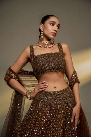 Lehenga Set For Indian Wedding - Brown Afreen Net Lehenga Set by Prevasu