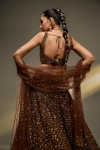 Lehenga Set For Indian Wedding - Brown Afreen Net Lehenga Set by Prevasu