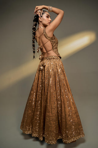 Lehenga Set For Indian Wedding - Brown Mocha Corset Lehenga Set by Prevasu