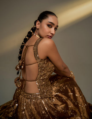 Lehenga Set For Indian Wedding - Brown Mocha Corset Lehenga Set by Prevasu