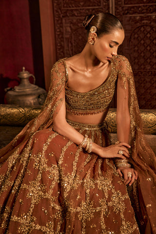 Lehenga For Indian Wedding - Brown Goddess Lehenga by Prevasu