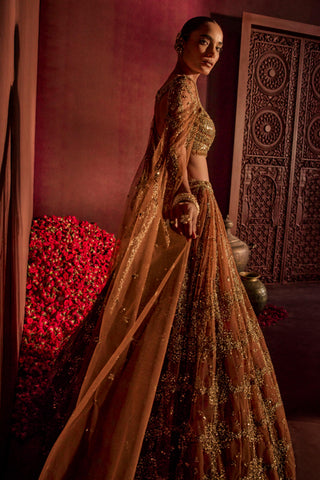 Lehenga For Indian Wedding - Brown Goddess Lehenga by Prevasu