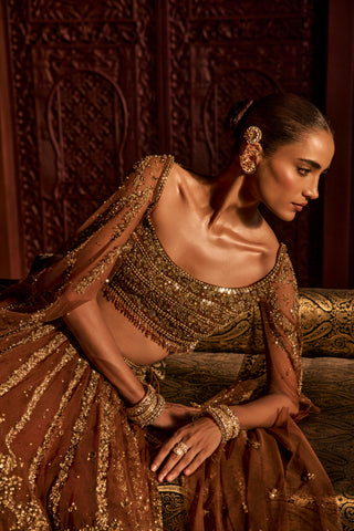 Lehenga For Indian Wedding - Brown Goddess Lehenga by Prevasu