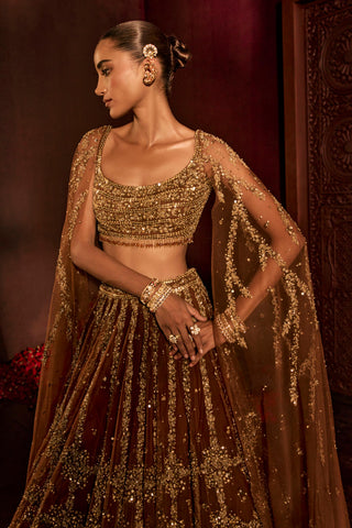 Lehenga For Indian Wedding - Brown Goddess Lehenga by Prevasu