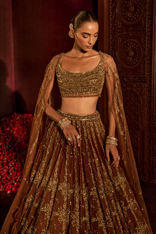 Lehenga For Indian Wedding - Brown Goddess Lehenga by Prevasu