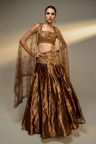 Lehenga Set For Indian Wedding - Brown Mousse Tissue Lehenga Set by Prevasu
