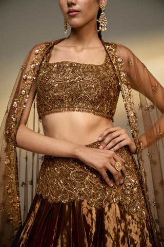 Lehenga Set For Indian Wedding - Brown Mousse Tissue Lehenga Set by Prevasu