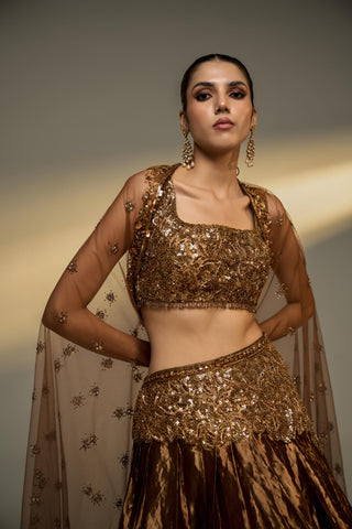 Lehenga Set For Indian Wedding - Brown Mousse Tissue Lehenga Set by Prevasu