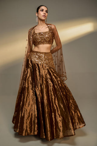 Lehenga Set For Indian Wedding - Brown Mousse Tissue Lehenga Set by Prevasu
