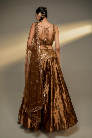 Lehenga Set For Indian Wedding - Brown Mousse Tissue Lehenga Set by Prevasu