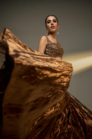 Lehenga Set For Indian Wedding - Brown Mousse Tissue Lehenga Set by Prevasu
