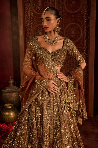 Lehenga Set For Indian Wedding - Brown Naira Lehenga by Prevasu