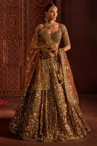 Lehenga Set For Indian Wedding - Brown Naira Lehenga by Prevasu