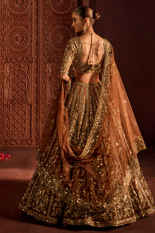 Lehenga Set For Indian Wedding - Brown Naira Lehenga by Prevasu