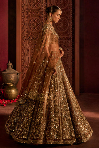 Lehenga Set For Indian Wedding - Brown Naira Lehenga by Prevasu