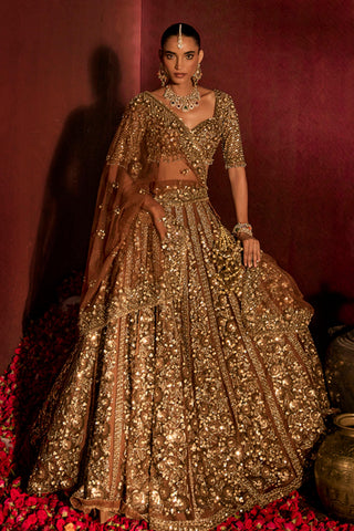 Lehenga Set For Indian Wedding - Brown Naira Lehenga by Prevasu