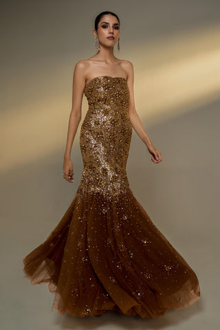 Gown Evening Wear - Brown Mocha Fitted Gown by Prevasu