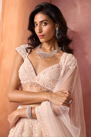 Net lehenga set for Indian Wedding – Blush Pink Navyaa by Nitika Gujral