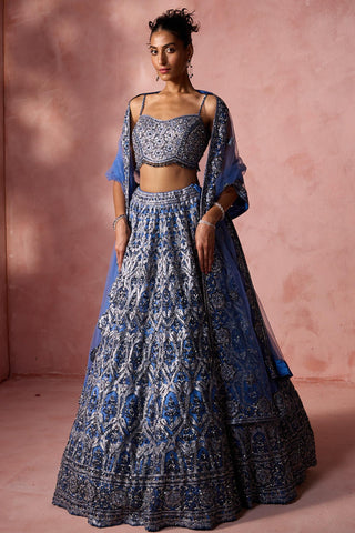 Net lehenga set for Indian Wedding – Blue Navyaa by Nitika Gujral