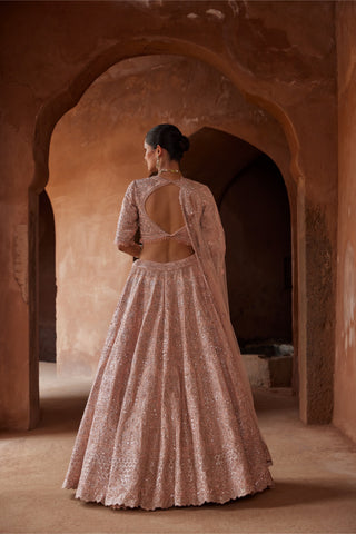 Pink tarana silk lehenga set by Nitika Gujral at Mrs. G