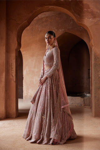 Pink tarana rose net lehenga set by Nitika Gujral at Mrs. G