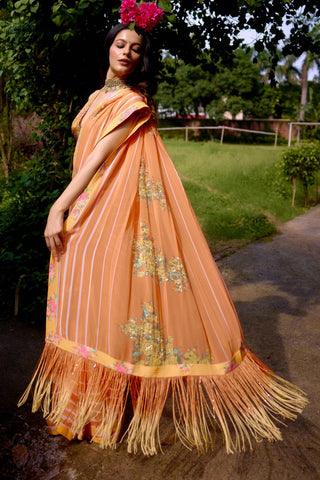 Saree Contemporary Wear – Orange Haseena by NIKASHA