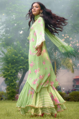 Kurta Sharara Set Contemporary Wear – Green Dilkush by NIKASHA
