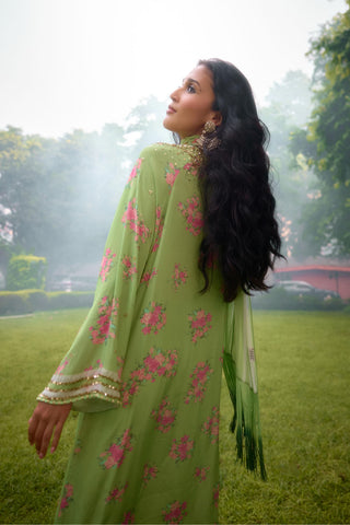 Kurta Sharara Set Contemporary Wear – Green Dilkush by NIKASHA