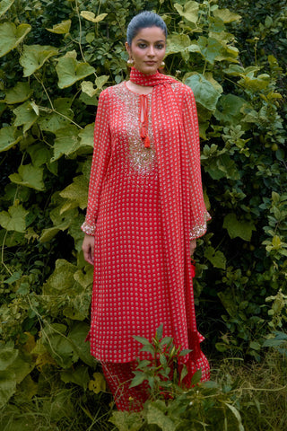 Kurta Contemporary Wear – Orange Dilruba Printed by NIKASHA