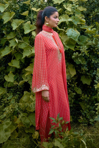 Kurta Contemporary Wear – Orange Dilruba Printed by NIKASHA