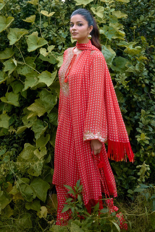 Kurta Contemporary Wear – Orange Dilruba Printed by NIKASHA