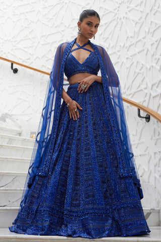 Lehenga Set Indian Wedding – Blue Net Ensemble by Nitika Gujral