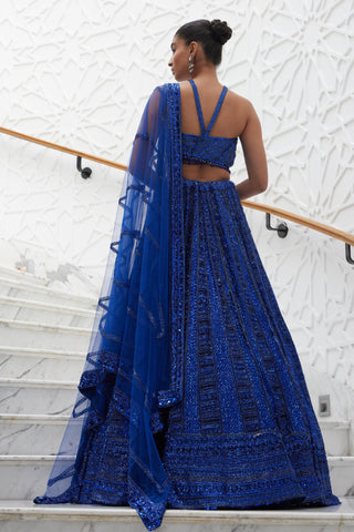 Lehenga Set Indian Wedding – Blue Net Ensemble by Nitika Gujral