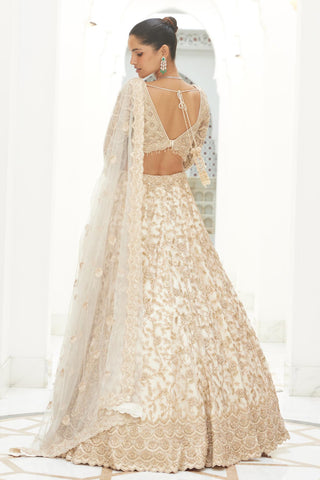Net Embroidery Lehenga Set Indian Wedding – Beige by Nitika Gujral