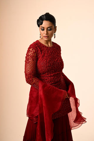 Red floral jaal highlight sharara set