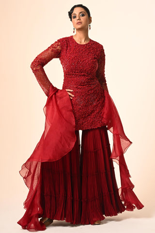 Red floral jaal highlight sharara set