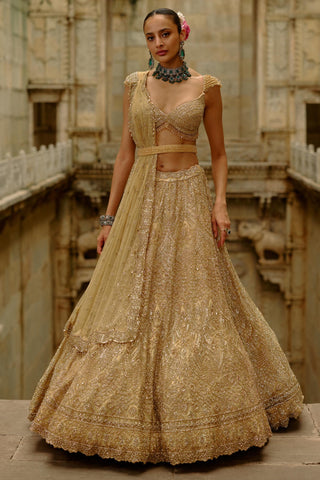 Gold Lehenga for Indian Wedding – Umang Net by Nitika Gujral