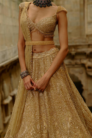 Gold Lehenga for Indian Wedding – Umang Net by Nitika Gujral