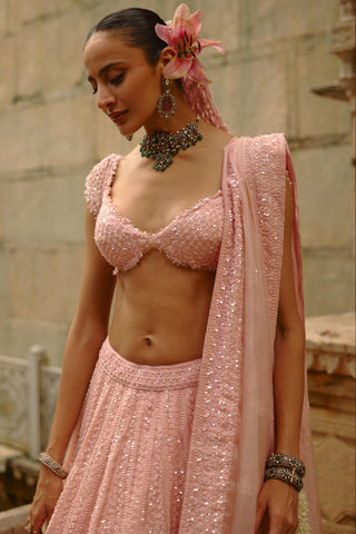 Pink Lehenga for Indian Wedding – Umang Pink by Nitika Gujral