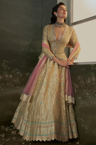 Lehenga Set for Indian Wedding – Golden Noor Benarasi by Nitika Gujral