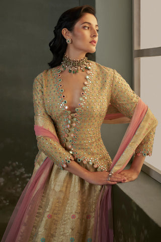 Lehenga Set for Indian Wedding – Golden Noor Benarasi by Nitika Gujral