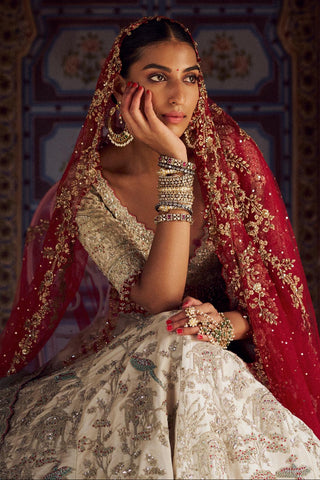 Lehenga set for Indian Wedding – Silver Kashish by Nitika Gujral