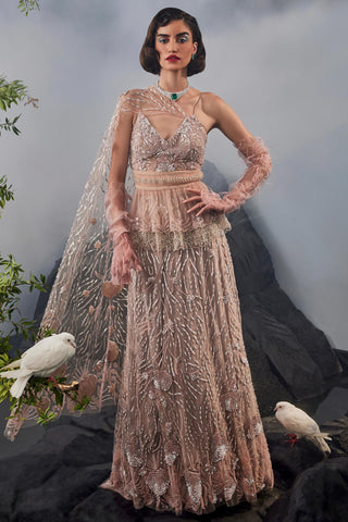 Blush pink amour peplum top and lehenga set