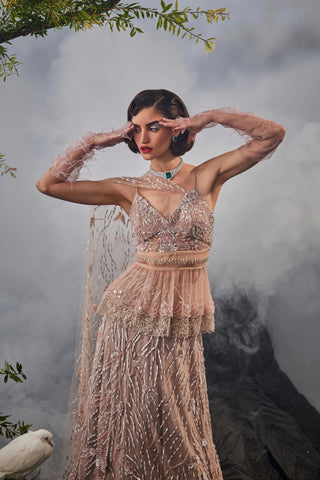 Blush pink amour peplum top and lehenga set