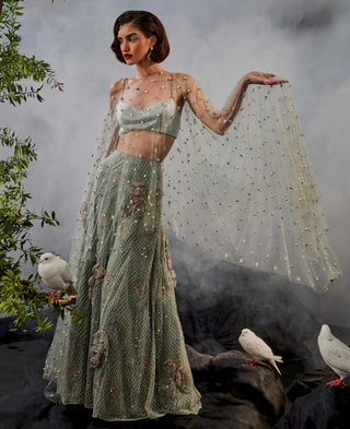 Gray amour lehenga with blouse and cape