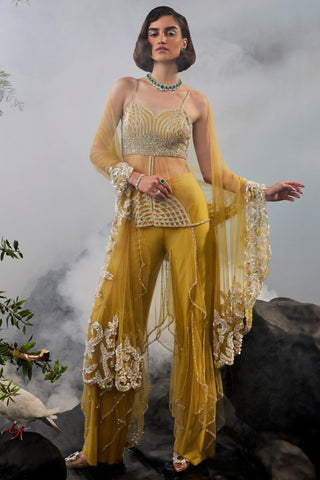 Yellow amour pant with sheer kurta and stole