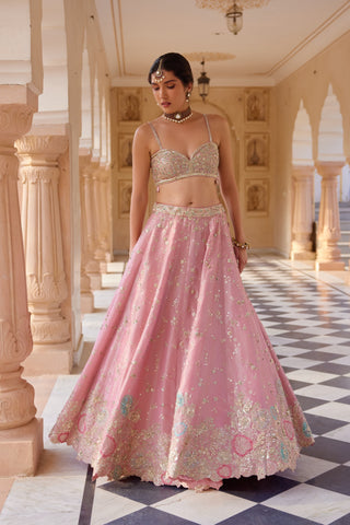 Front view of flamingo pink flared lehenga with applique flower border by Osaa by Adarsh at Mrs. G