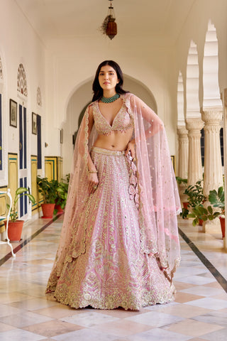 Front view of rosaline pink lehenga with embroidered panels and net cape dupatta by Osaa by Adarsh at Mrs. G